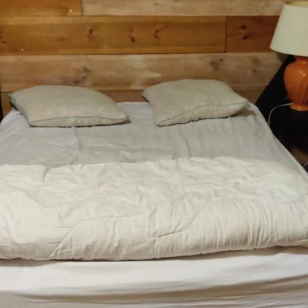 Apartament La Cabane Rustique Du Bassin La Teste-de-Buch Zewnętrze zdjęcie